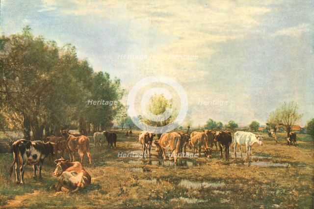 'Fen Meadows with Cattle', 1877, (c1930).  Creator: Mark Fisher.