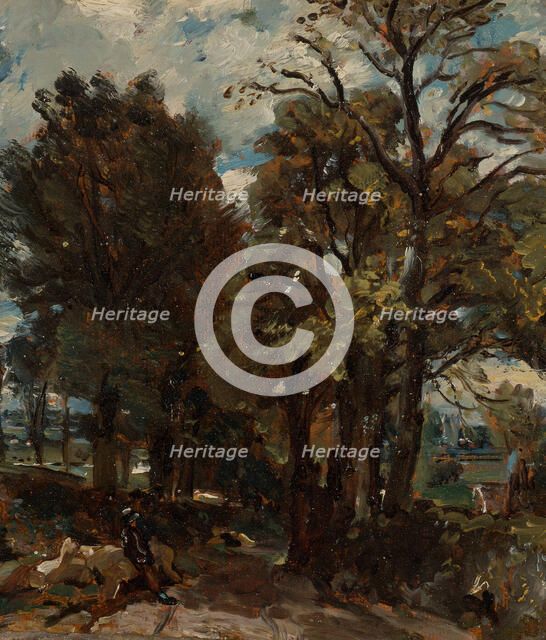 Fen Lane, East Bergholt, ca. 1811. Creator: John Constable.