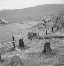 Fenced pasture on cut-over farm, Priest River Valley, Bonner County, Idaho, 1939. Creator: Dorothea Lange