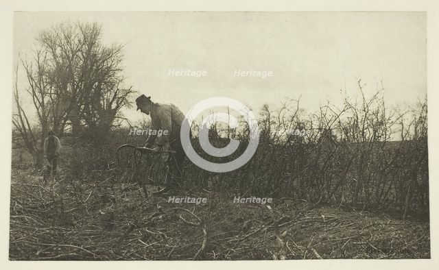 Fencing in Suffolk, c. 1883/87, printed 1888. Creator: Peter Henry Emerson.
