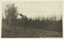 Fencing in Suffolk, c. 1883/87, printed 1888. Creator: Peter Henry Emerson