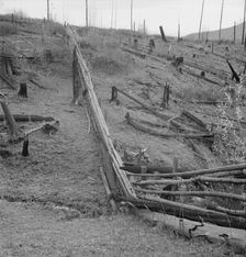 Fencing on new farms in cut-over area, Priest River Valley, Bonner County, Idaho, 1939. Creator: Dorothea Lange