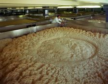 Fermenting vessels at Tetley's brewery, Leeds, West Yorkshire, 1968. Creator: Michael Walters