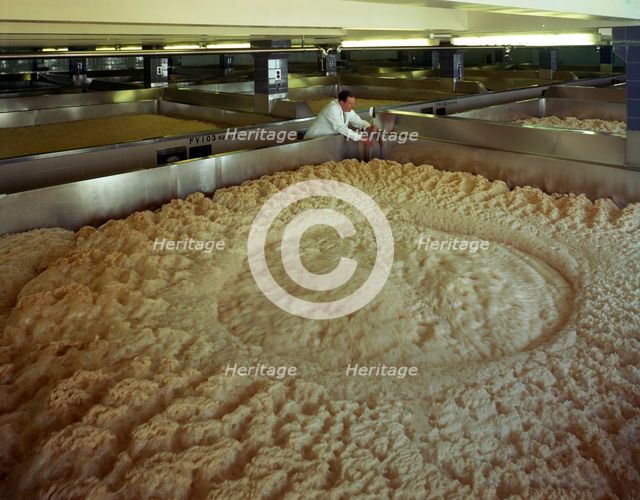 Fermenting vessels at Tetley's brewery, Leeds, West Yorkshire, 1968.  Creator: Michael Walters.