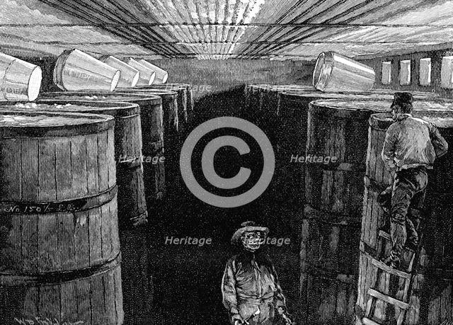 Fermenting cellar in an American brewery, 1885. Artist: Unknown