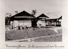 Fermenting houses, La Compensacions Estate, Trinidad, 1897