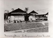 Fermenting houses, La Compensacions Estate, Trinidad, 1897