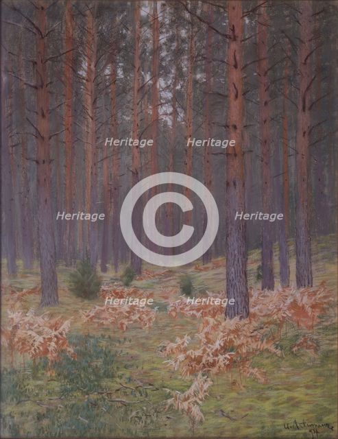 Ferns, 1894. Artist: Levitan, Isaak Ilyich (1860-1900)