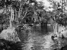 Ferry at Puente Real, between 1880 and 1897. Creator: William H. Jackson