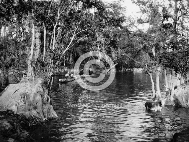 Ferry at Puente Real, between 1880 and 1897. Creator: William H. Jackson.