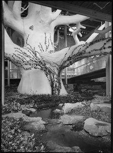Festival of Britain, South Bank Exhibition, The Natural Scene Pavilion, South Bank, London, 1951. Creator: Margaret F Harker
