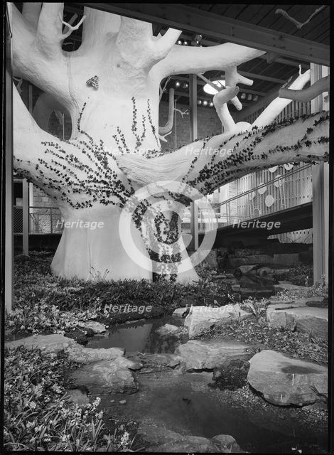 Festival of Britain, South Bank Exhibition, The Natural Scene Pavilion, South Bank, London, 1951. Creator: Margaret F Harker.
