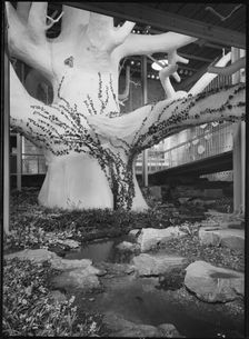 Festival of Britain, South Bank Exhibition, The Natural Scene Pavilion, South Bank, London, 1951. Creator: Margaret F Harker