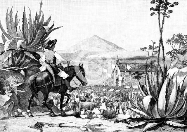 Festival of St. Antony at the Chapel of San Antonio, Tenerife, 1890. Creator: P Naumann.