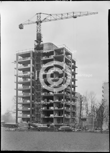Fitzhugh Estate, Fitzhugh Grove, Wandsworth Common, Wandsworth, Greater London Authority, 1955. Creator: Ministry of Works.