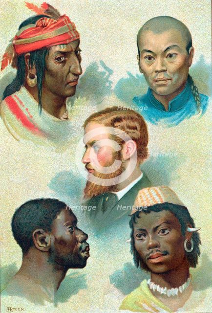 Five types of the human race, late 19th century. Artist: Unknown