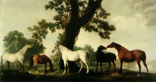 Five Brood Mares at the Duke of Cumberland's Stud Farm in Windsor Great Park 1765, (1944). Creator: George Stubbs