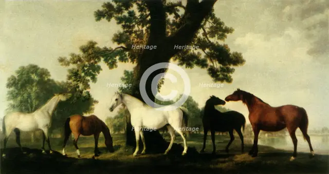 'Five Brood Mares at the Duke of Cumberland's Stud Farm in Windsor Great Park', 1765, (1944).  Creator: George Stubbs.