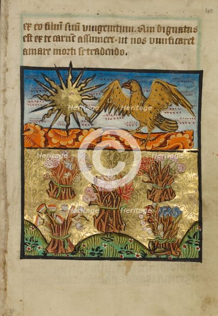 Five Bunches of Flowers, about 1190-1200; text added about 1480-1490. Creator: Unknown.
