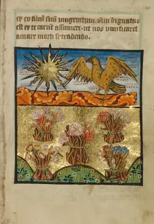 Five Bunches of Flowers, about 1190-1200; text added about 1480-1490. Creator: Unknown