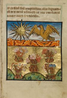 Five Bunches of Flowers, about 1190-1200; text added about 1480-1490. Creator: Unknown