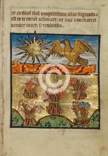 Five Bunches of Flowers, about 1190-1200; text added about 1480-1490. Creator: Unknown.