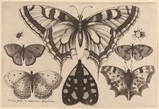 Five Butterflies, a Moth, and Two Beetles, 1646. Creator: Wenceslaus Hollar