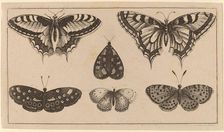 Five Butterflies and a Moth. Creator: Wenceslaus Hollar