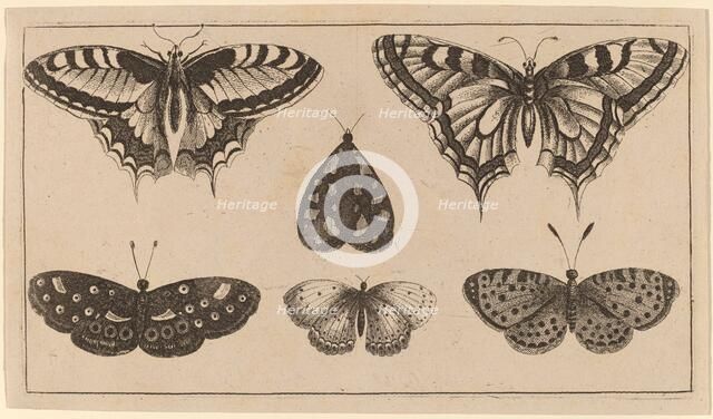 Five Butterflies and a Moth. Creator: Wenceslaus Hollar.