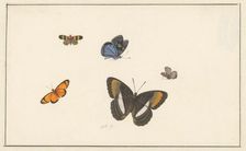 Five butterflies, c. 1677-c. 1726. Creator: Herman Henstenburgh