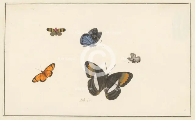 Five butterflies, c. 1677-c. 1726. Creator: Herman Henstenburgh.