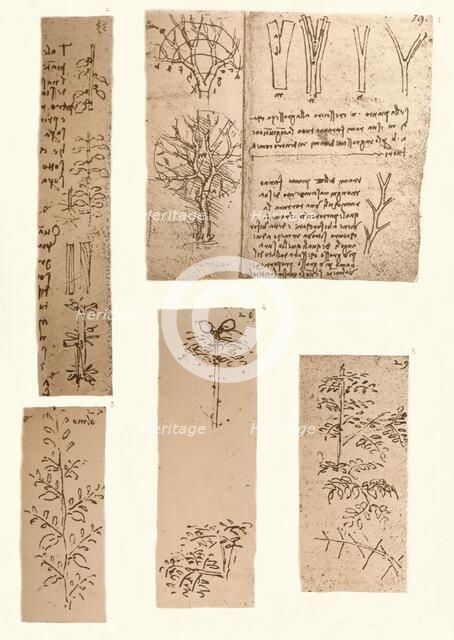 Five drawings illustrating the elements of landscape painting, c1472-c1519 (1883). Artist: Leonardo da Vinci.