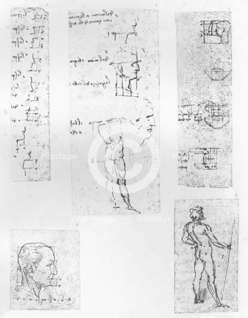 Five drawings illustrating the theory of the proportions of the human figure, c1472-c1519 (1883). Artist: Leonardo da Vinci.
