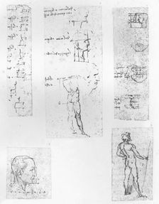 Five drawings illustrating the theory of the proportions of the human figure, c1472-c1519 (1883). Artist: Leonardo da Vinci
