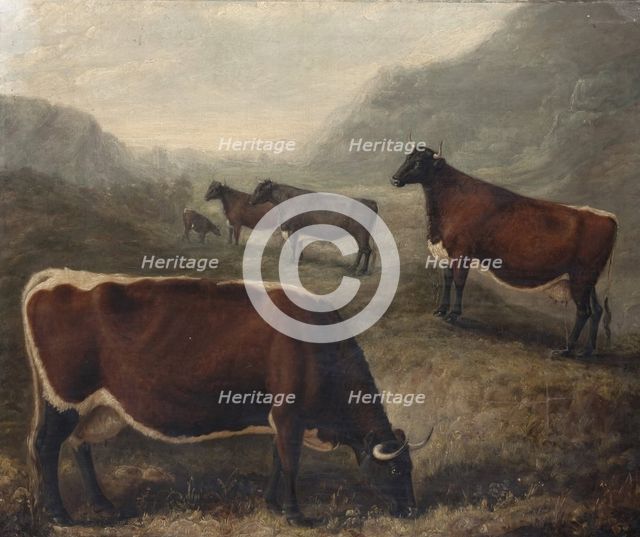 Five Glamorgan Cattle, 1835. Creator: William Shiels.