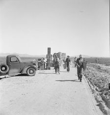 Five hundred pea pickers in field of large-scale Sinclair..., Near Calipatria, CA, 1939. Creator: Dorothea Lange