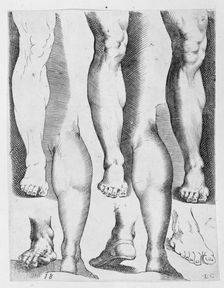Five Legs and Three Feet, 17th century., 17th century. Creator: Luca Ciamberlano
