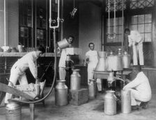 Five men making butter in a class at Hampton Institute, Hampton, Va., 1899 or 1900. Creator: Frances Benjamin Johnston