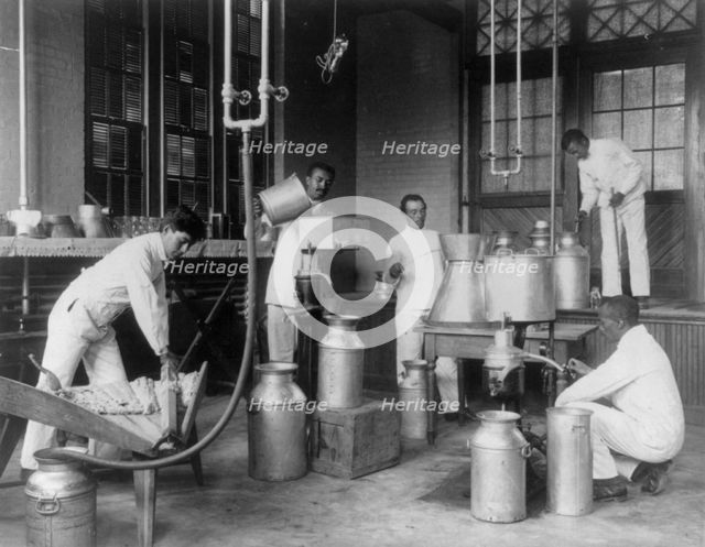 Five men making butter in a class at Hampton Institute, Hampton, Va., 1899 or 1900. Creator: Frances Benjamin Johnston.