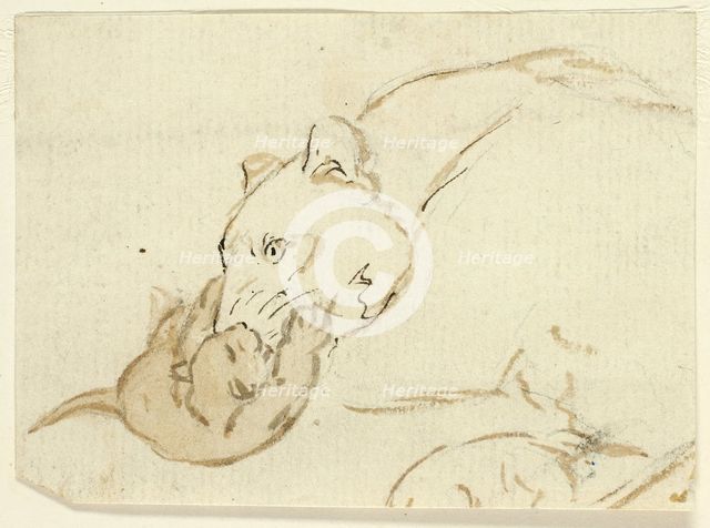 Five Sketches of Lions: Lioness with Cub, n.d. Creator: Henry Stacy Marks.