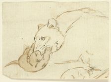 Five Sketches of Lions: Lioness with Cub, n.d. Creator: Henry Stacy Marks