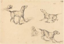 Five Studies of a French Pointer, 1825/1826. Creator: Richard Parkes Bonington