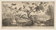 Ficedula, Piuoyne (The Bullfinch): Livre d'Oyseaux (Book of Birds), 1655-1660., Creator: albert flamen
