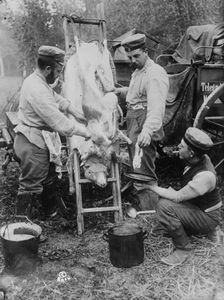 Field butcher on firing line, North Sea Coast, between 1914 and 1918. Creator: Bain News Service