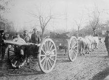 Field gun drawn by oxen, Serbia, between c1915 and c1920. Creator: Bain News Service