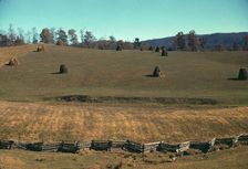 Field of a mountain farm along the Skyline Drive in Virginia, ca. 1940. Creator: Jack Delano