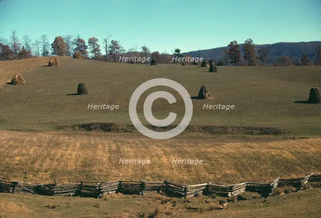 Field of a mountain farm along the Skyline Drive in Virginia, ca. 1940. Creator: Jack Delano.