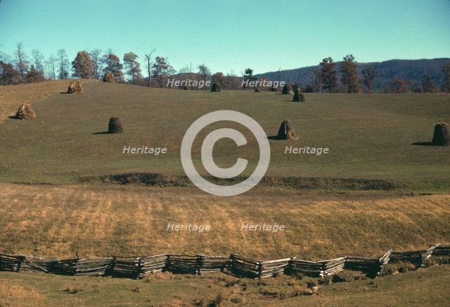 Field of a mountain farm along the Skyline Drive in Virginia, ca. 1940. Creator: Jack Delano.