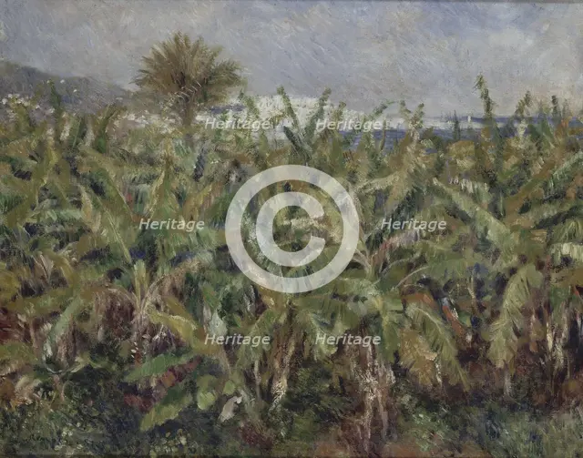 Field of Banana Trees (Champ de bananiers), 1881. Artist: Renoir, Pierre Auguste (1841-1919)