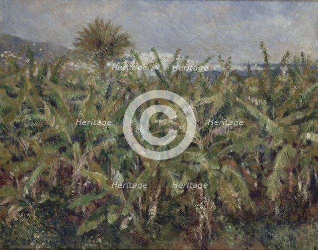 Field of Banana Trees (Champ de bananiers), 1881. Artist: Renoir, Pierre Auguste (1841-1919)